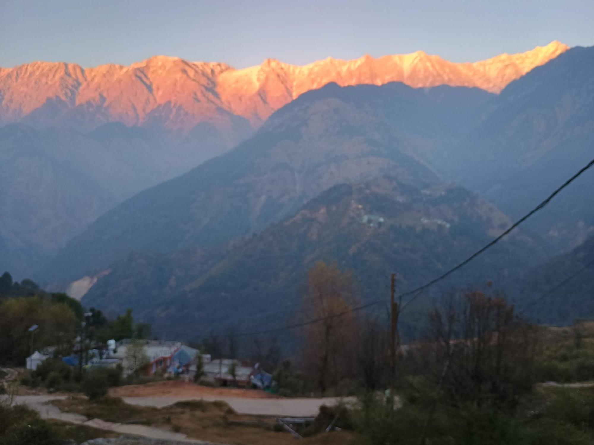 Mcleodganj Diaries Guest House Dharamshala Ngoại thất bức ảnh